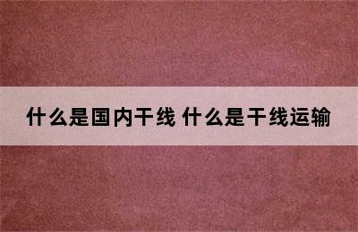 什么是国内干线 什么是干线运输